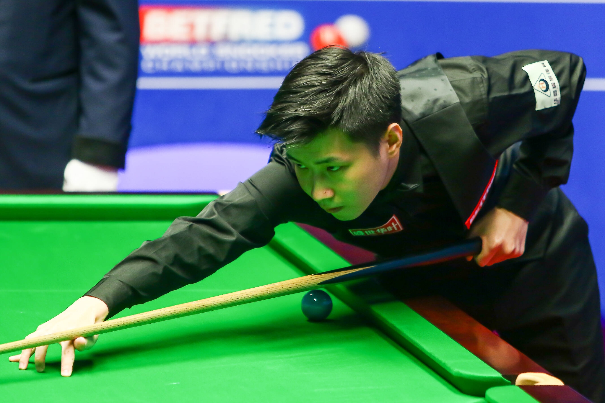 每年举办的 每年举办的