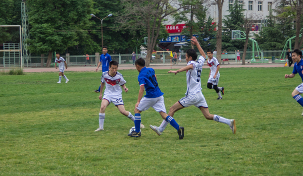 真正的爱情 真正的爱情