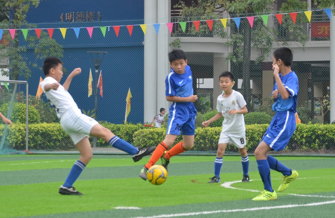 非凡的韧性 非凡的韧性